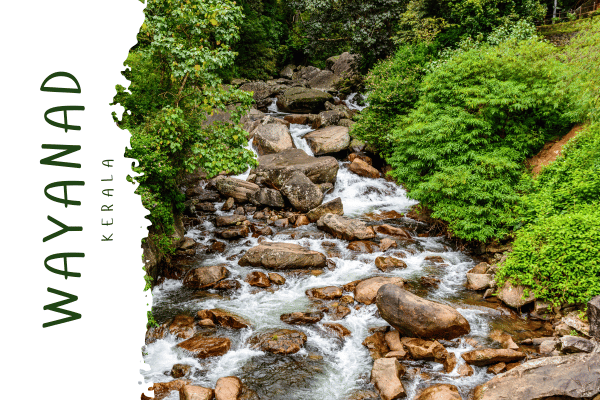 Wayanad