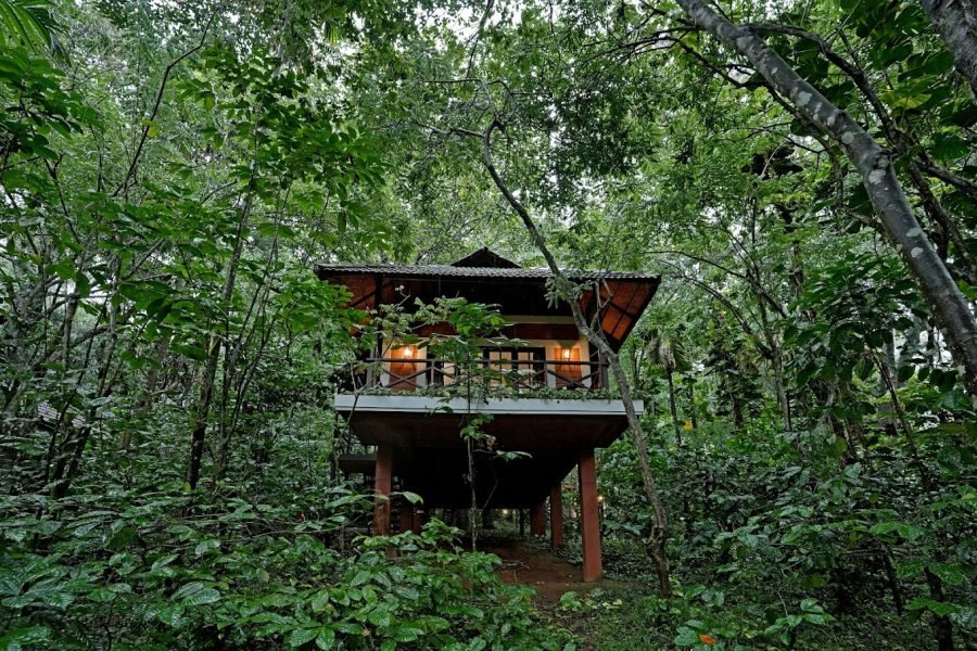 Coffee Acres Resort