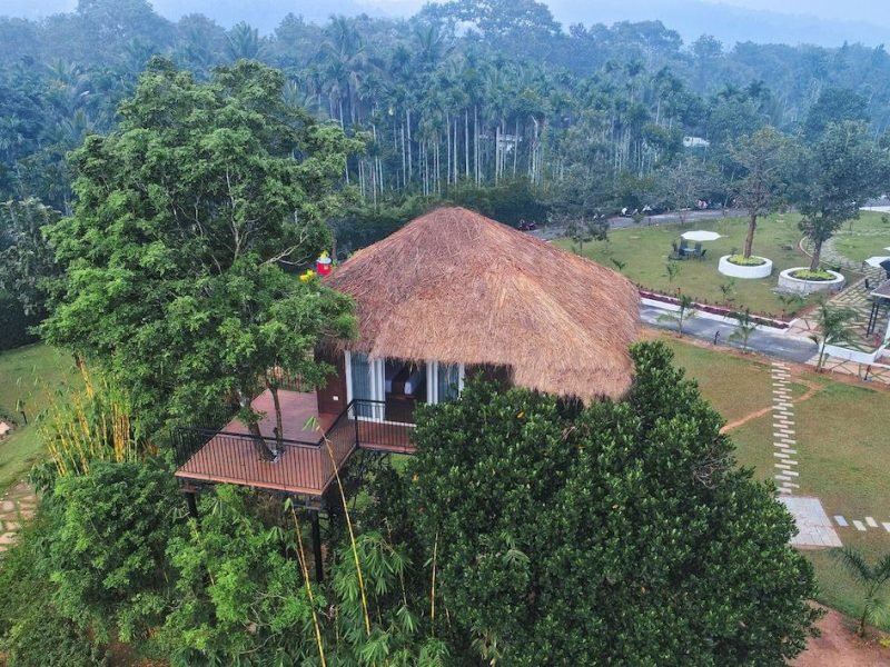 The Tree House