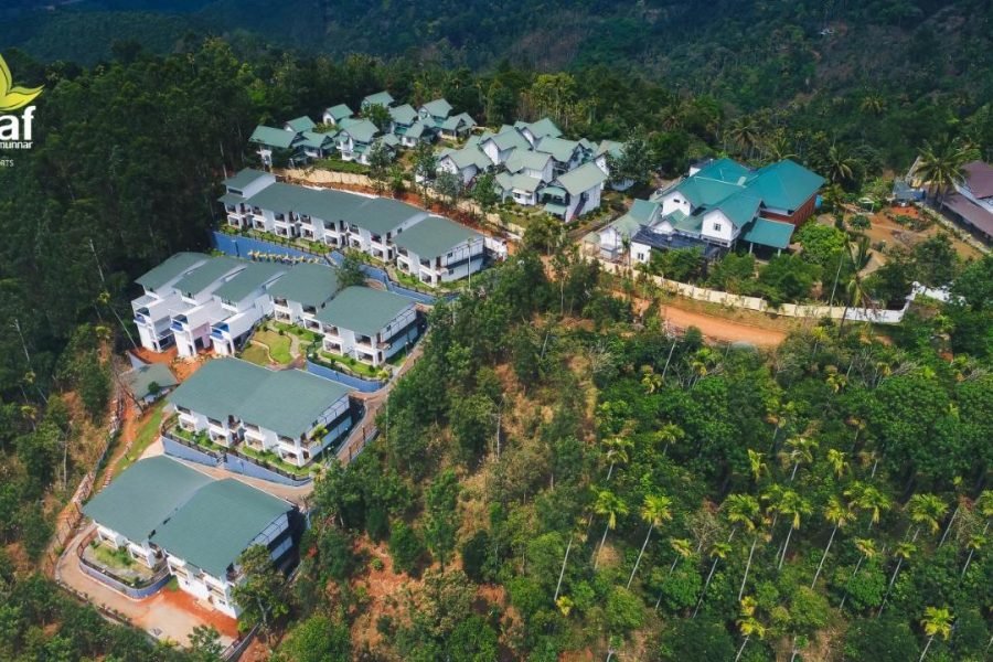 Leaf Munnar