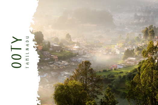Ooty