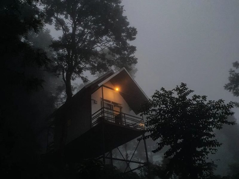 Tree hut