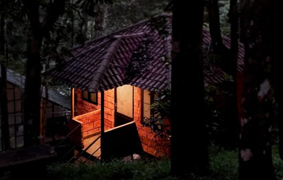 VINTAGE HUT