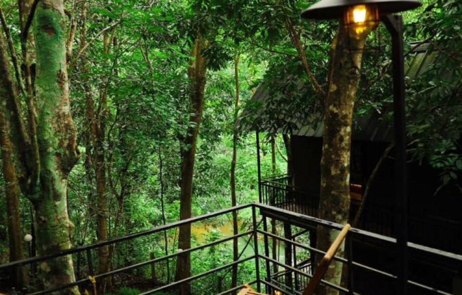 Romantic Hut