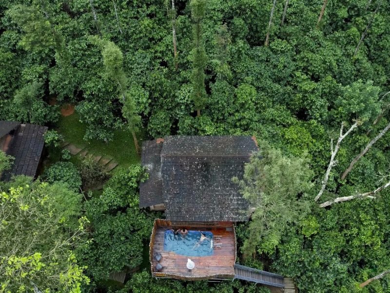 Tree House with Private Pool