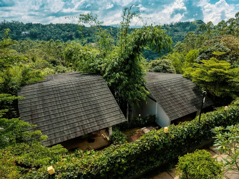 Green Leaf Room