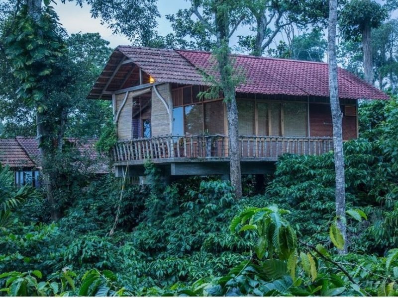Wood House with Plunge Pool