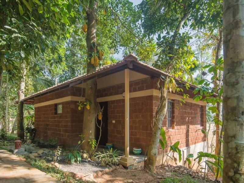 Paddy View Luxury Villa