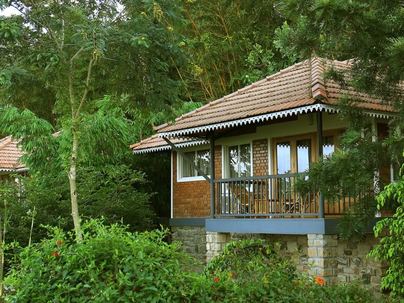 Eden View Comfort